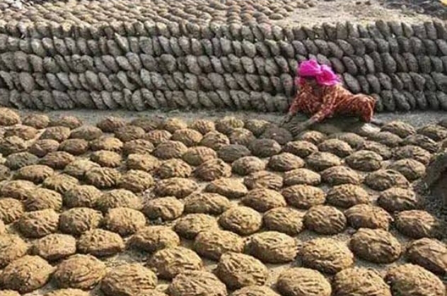 सुक्खू भाई गोबर कब खरीदोगे, पूर्व मुख्यमंत्री जयराम का तंज